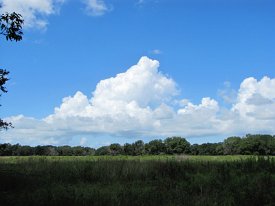 IMG_4607