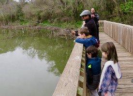 IMG_8597 Brazos Bend State Park, TX