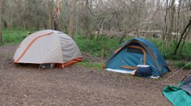 IMG_6920 Our Tents, Brazos Bend State Park
