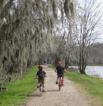IMG_6979 Cycling on the Trail, Brazos Bend State Park