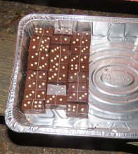 IMG_7081 domino brownies, Brazos Bend State Park