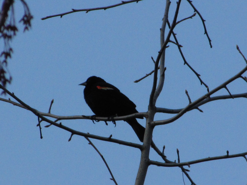 IMG_3239.JPG