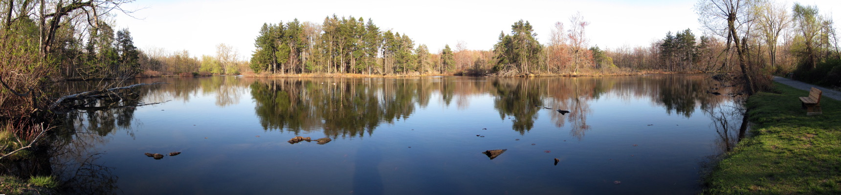 ReinsteinWoodsNP-2.jpg