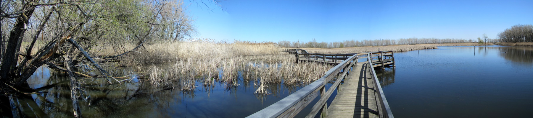 TifftNatureCenterBoardwalk.jpg
