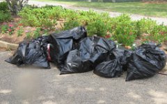 IMG_9977 Some of Trash Collected