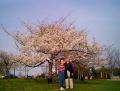 02momdadcherrytree