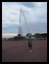 aut_8720.jpg