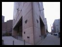 aut_8737.jpg