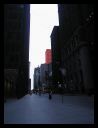 aut_8740.jpg
