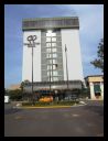 aut_8811.jpg