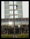 aut_8815.jpg