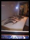 aut_9017.jpg