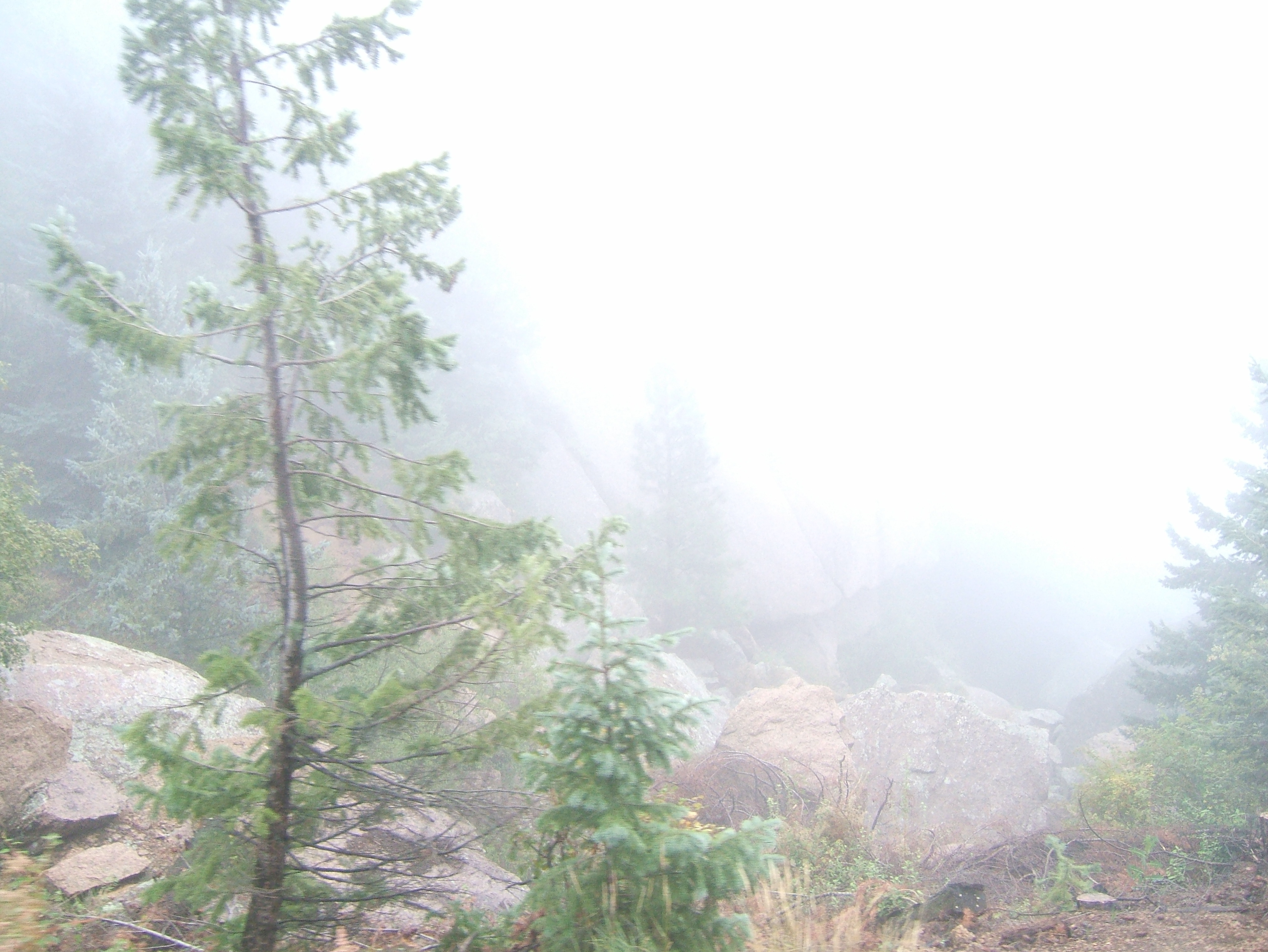 DSCF0156.JPG