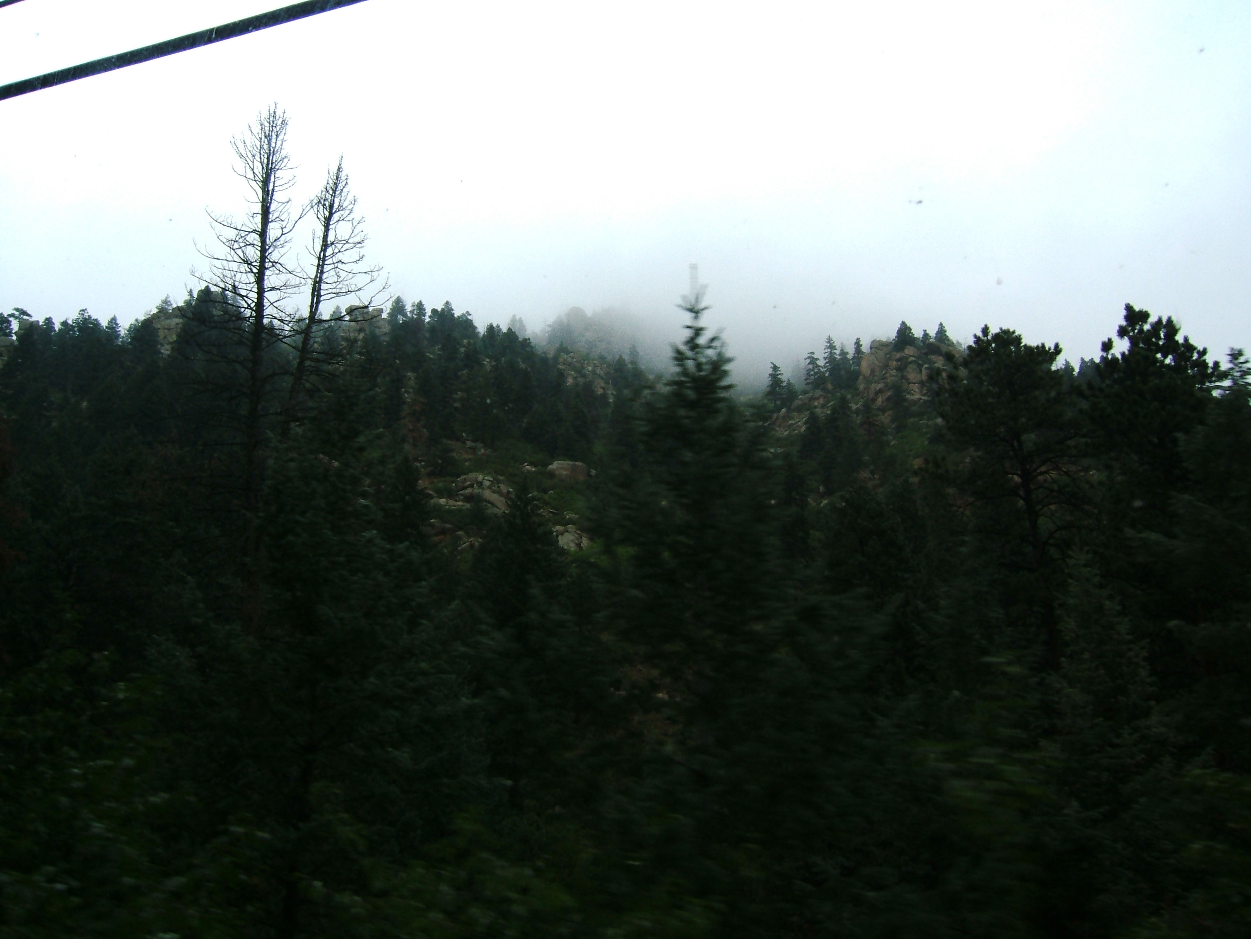 DSCF0227.JPG