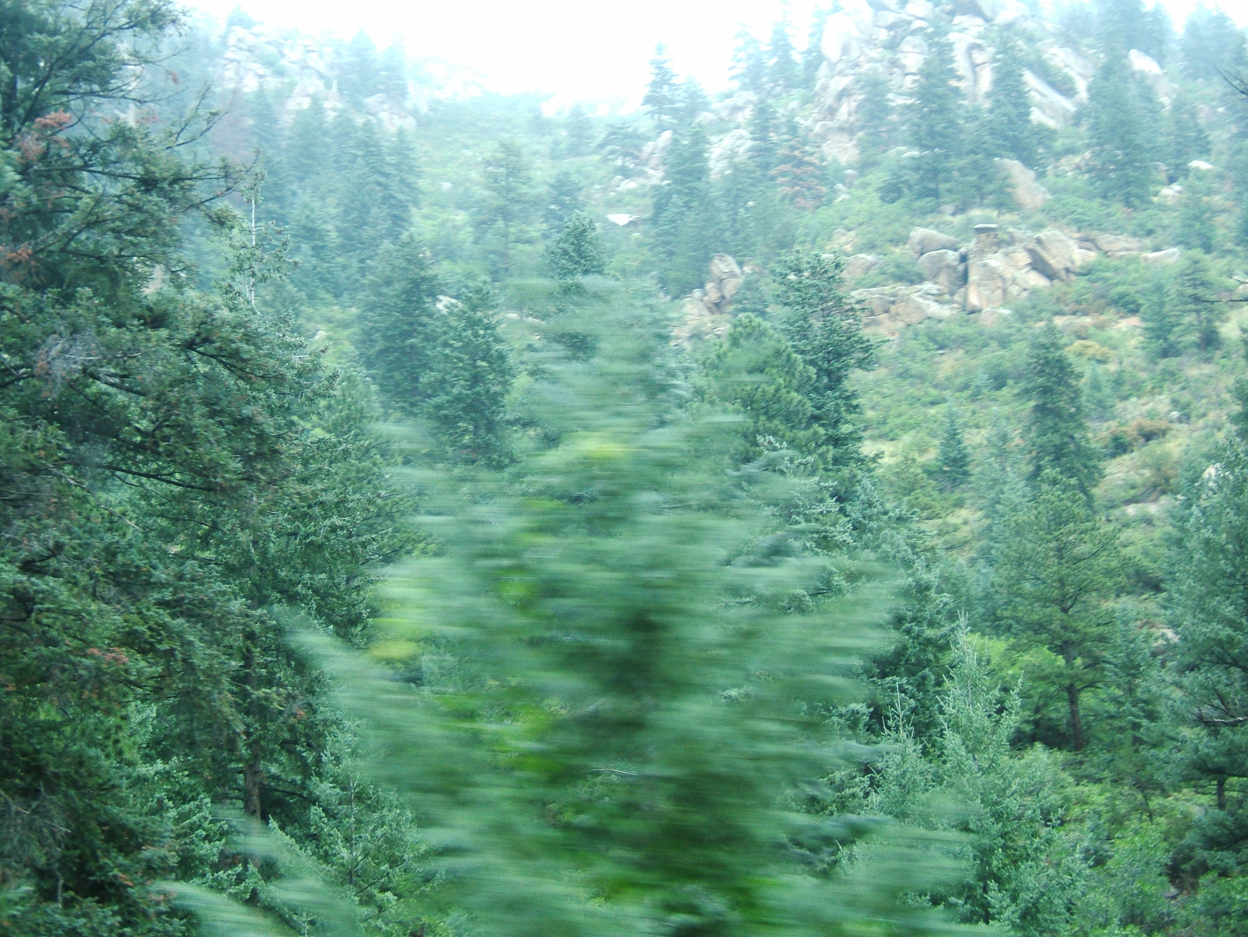 DSCF0228.JPG