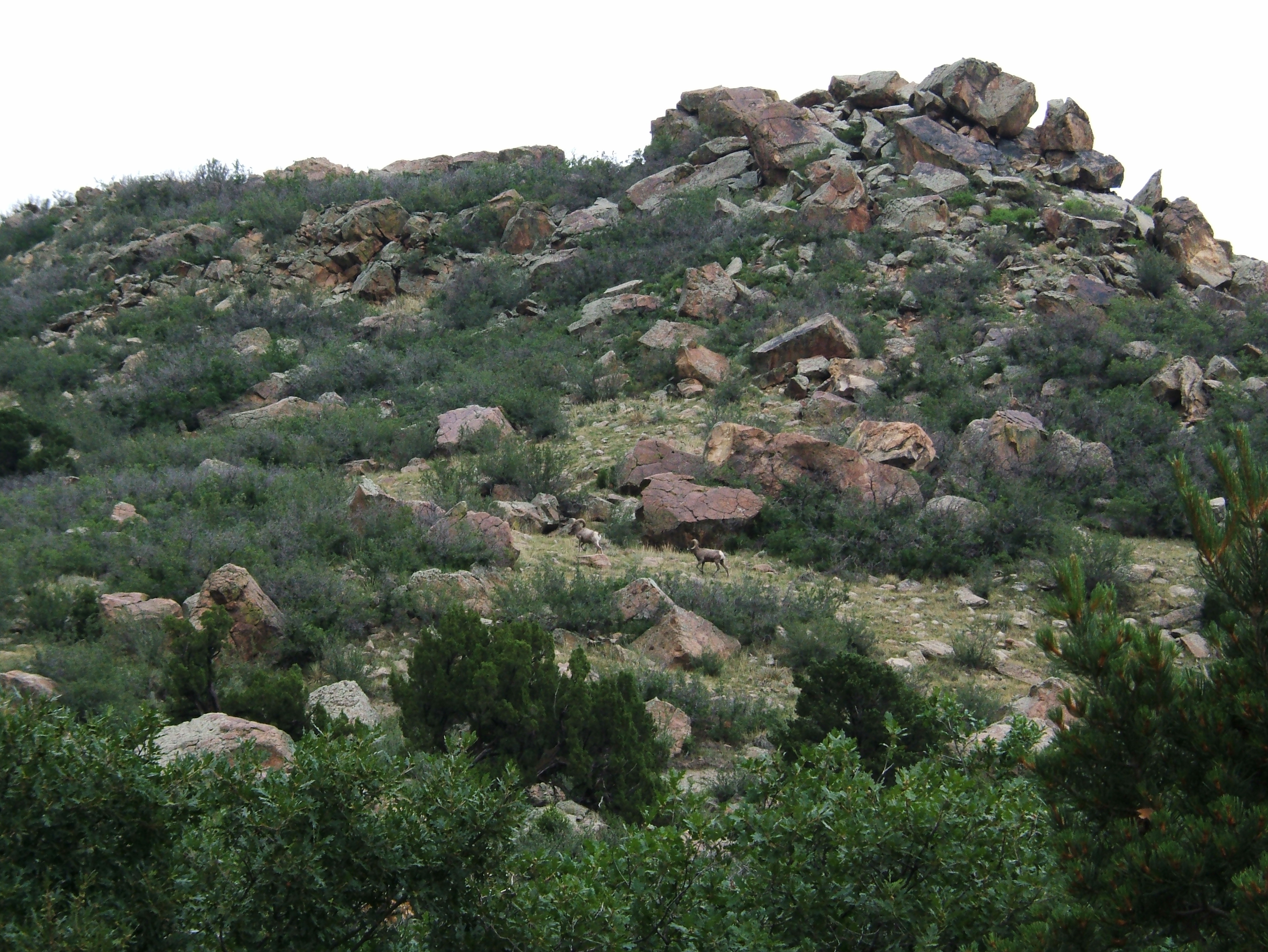 DSCF0290.JPG