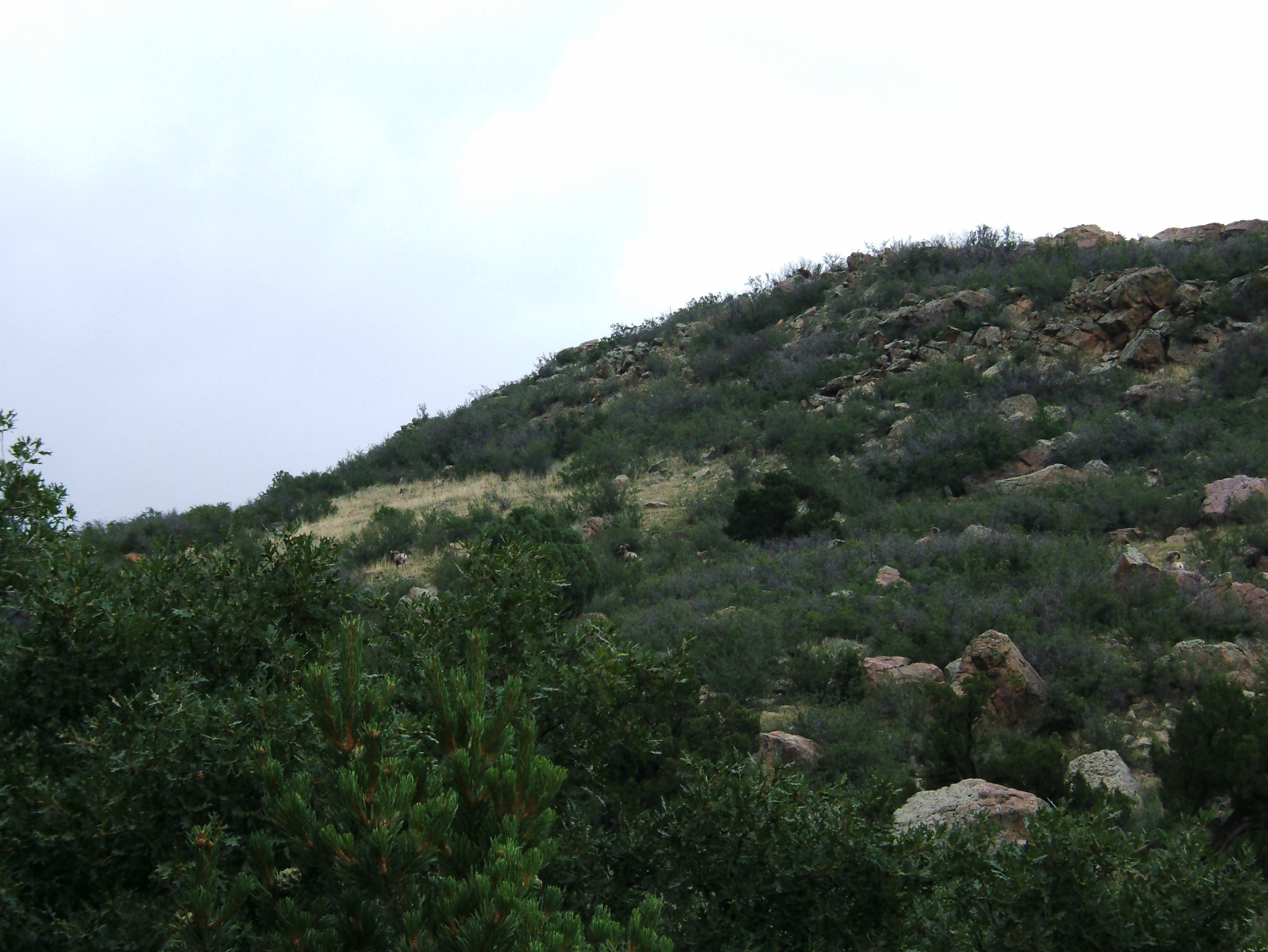 DSCF0291.JPG
