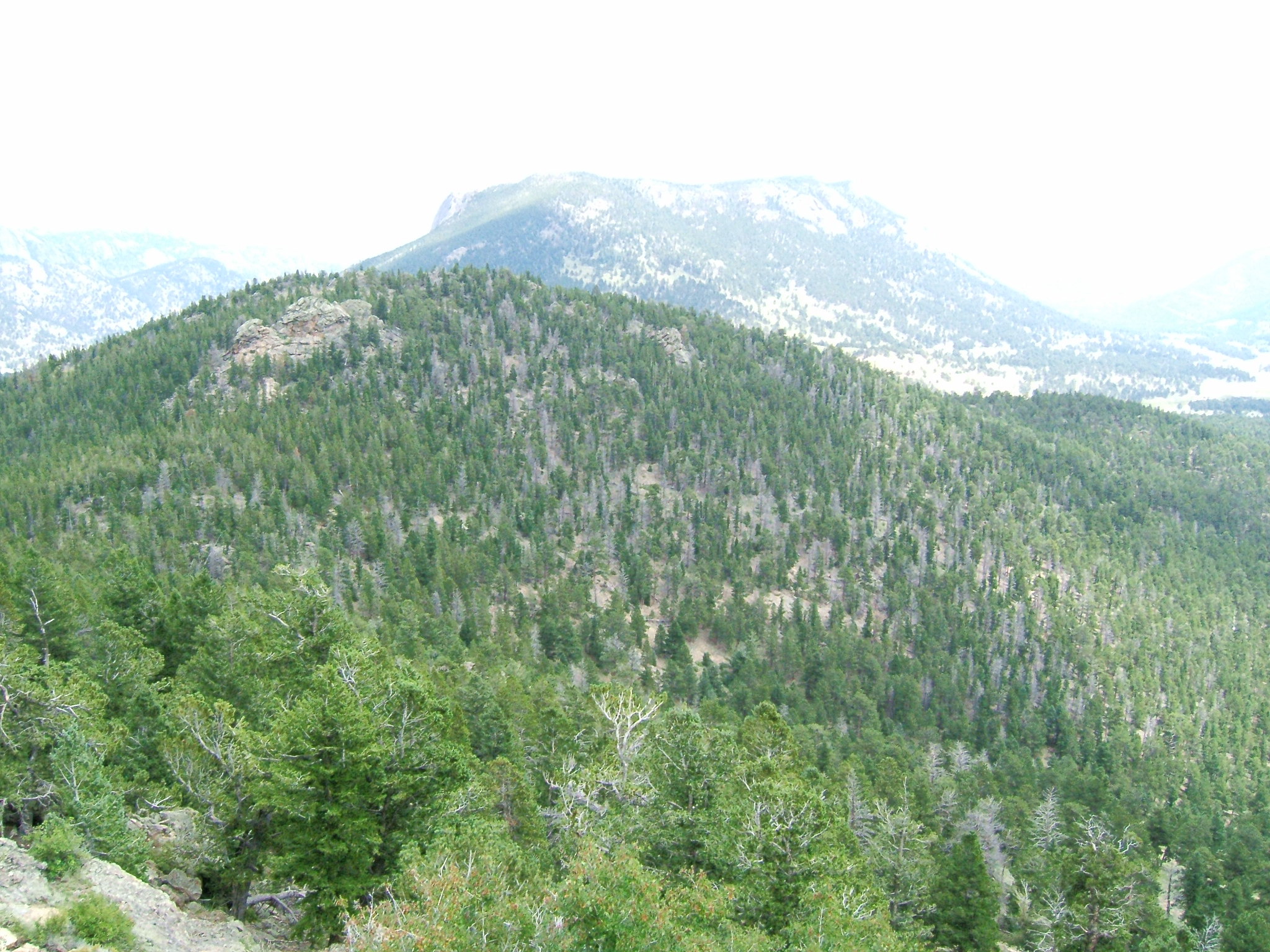 DSCF0328.JPG