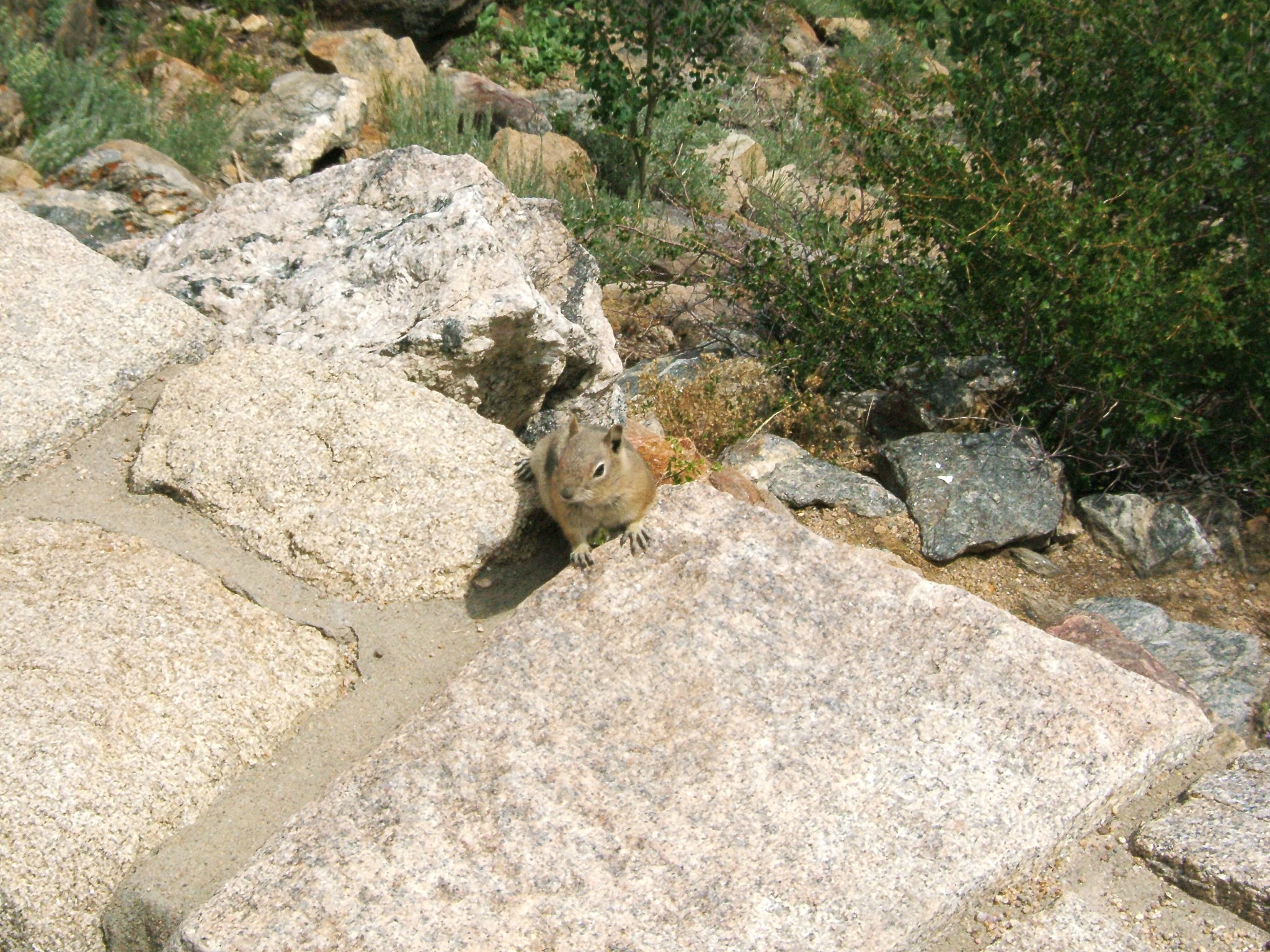 DSCF0337.JPG