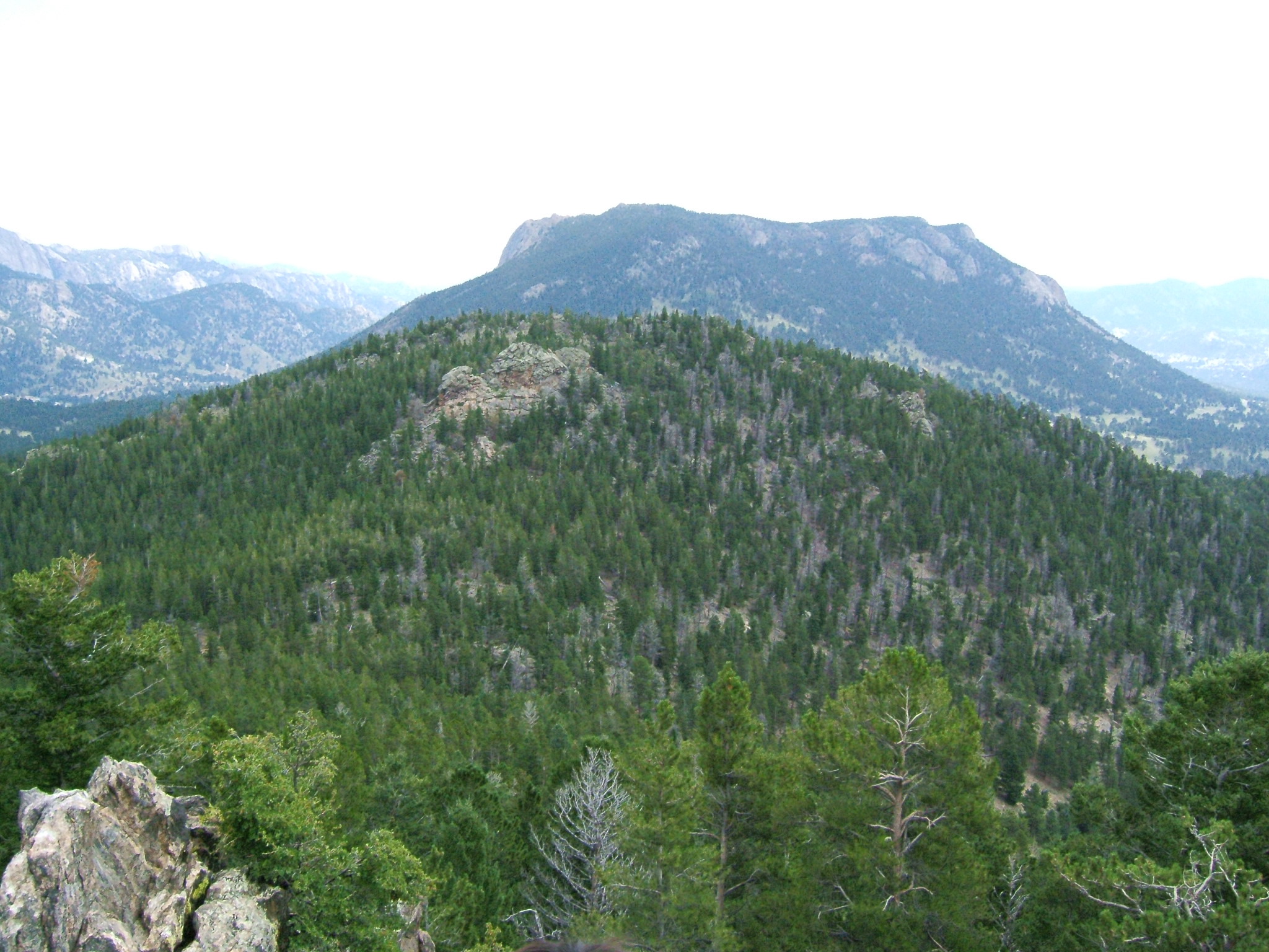 DSCF0346.JPG