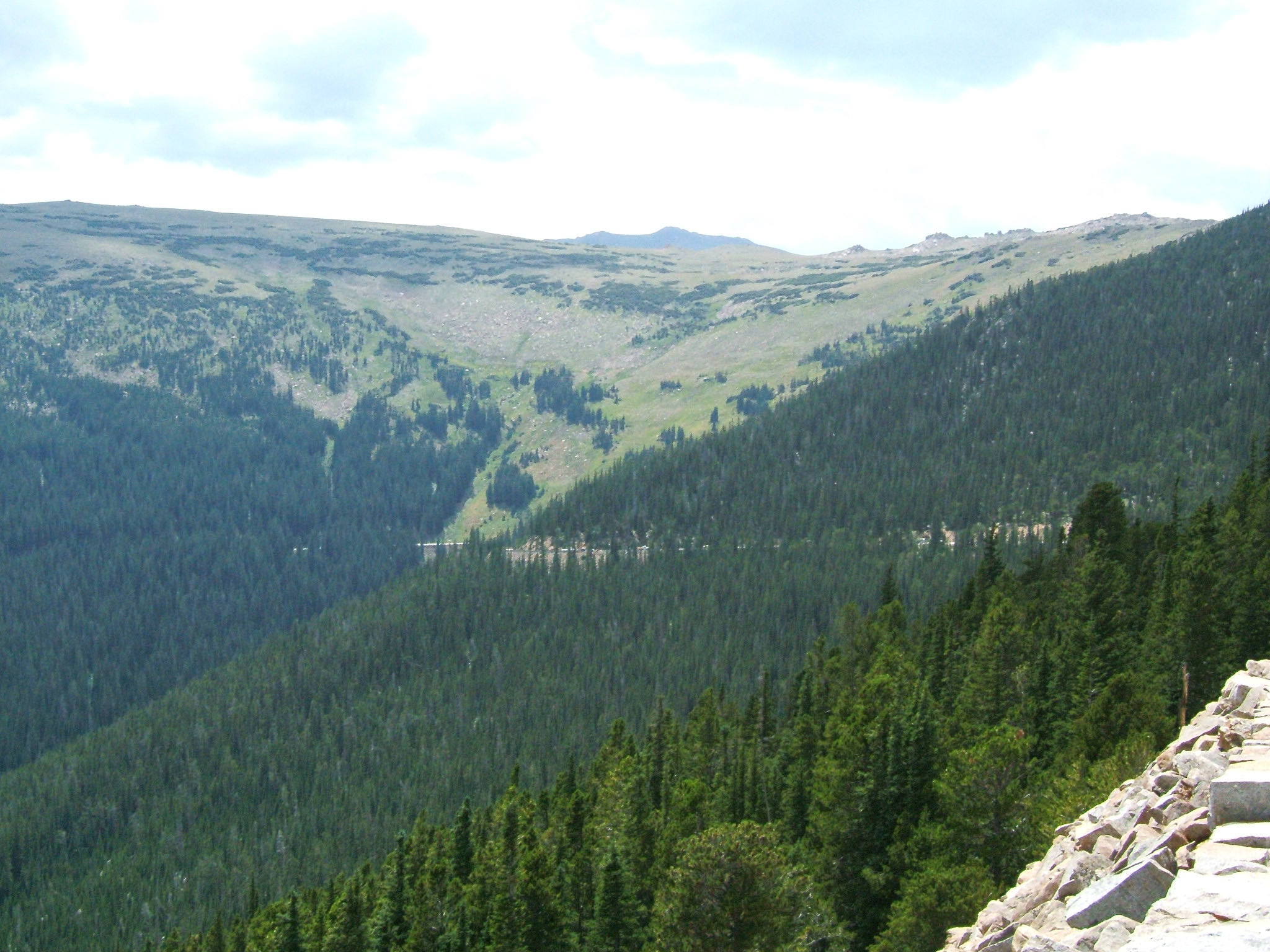 DSCF0356.JPG