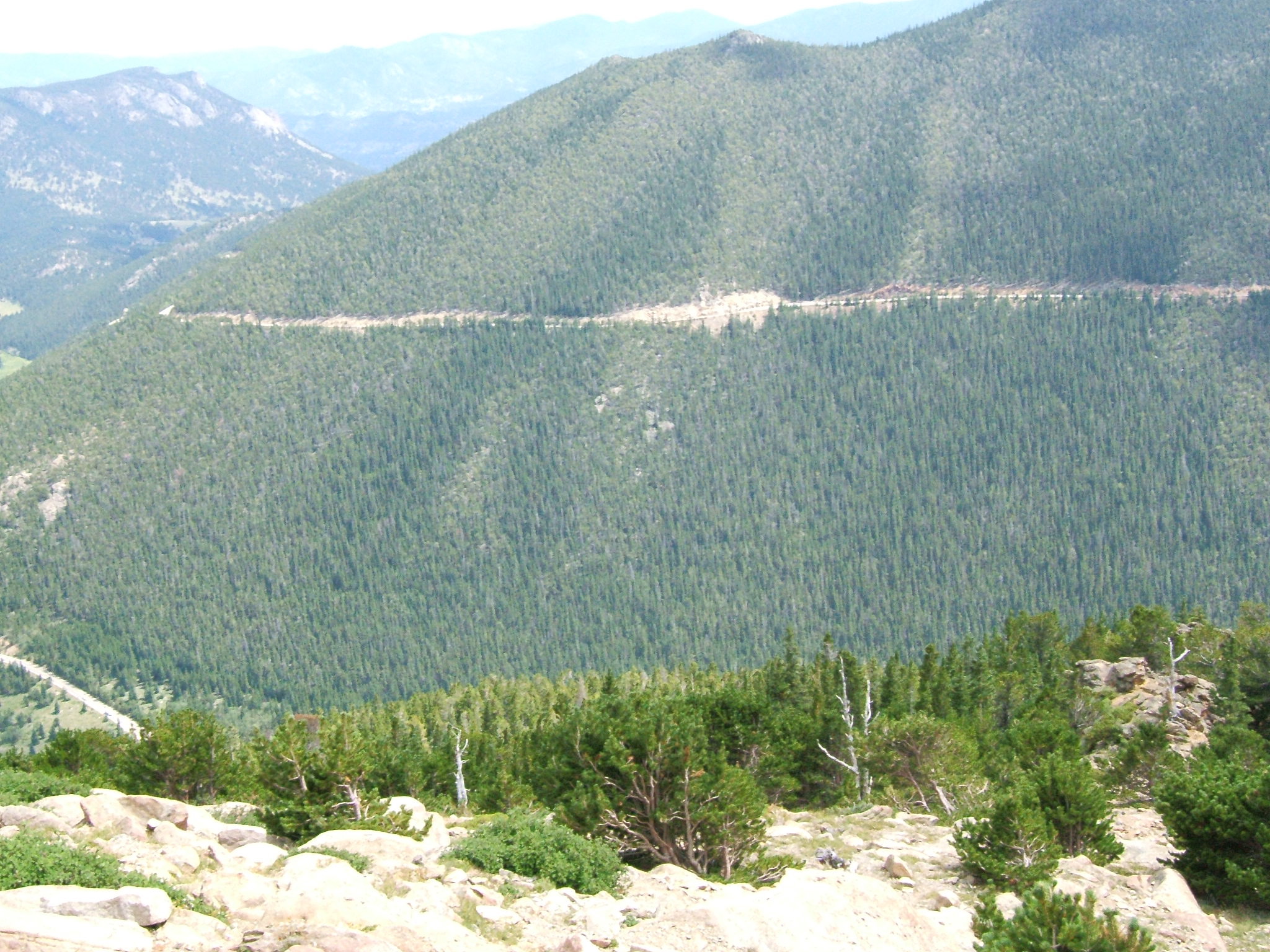 DSCF0365.JPG