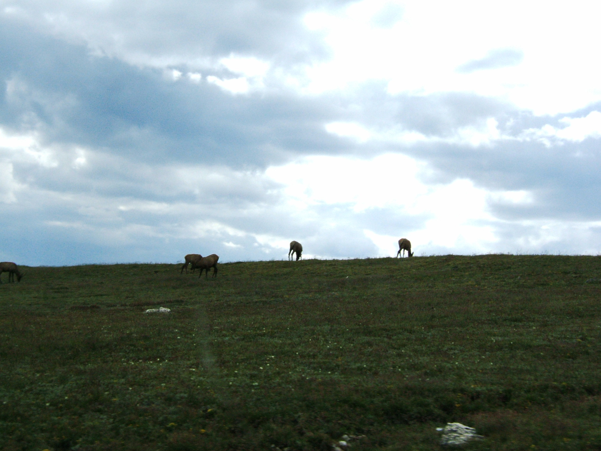 DSCF0441.JPG