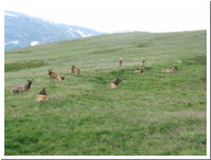 DSCF0590.JPG