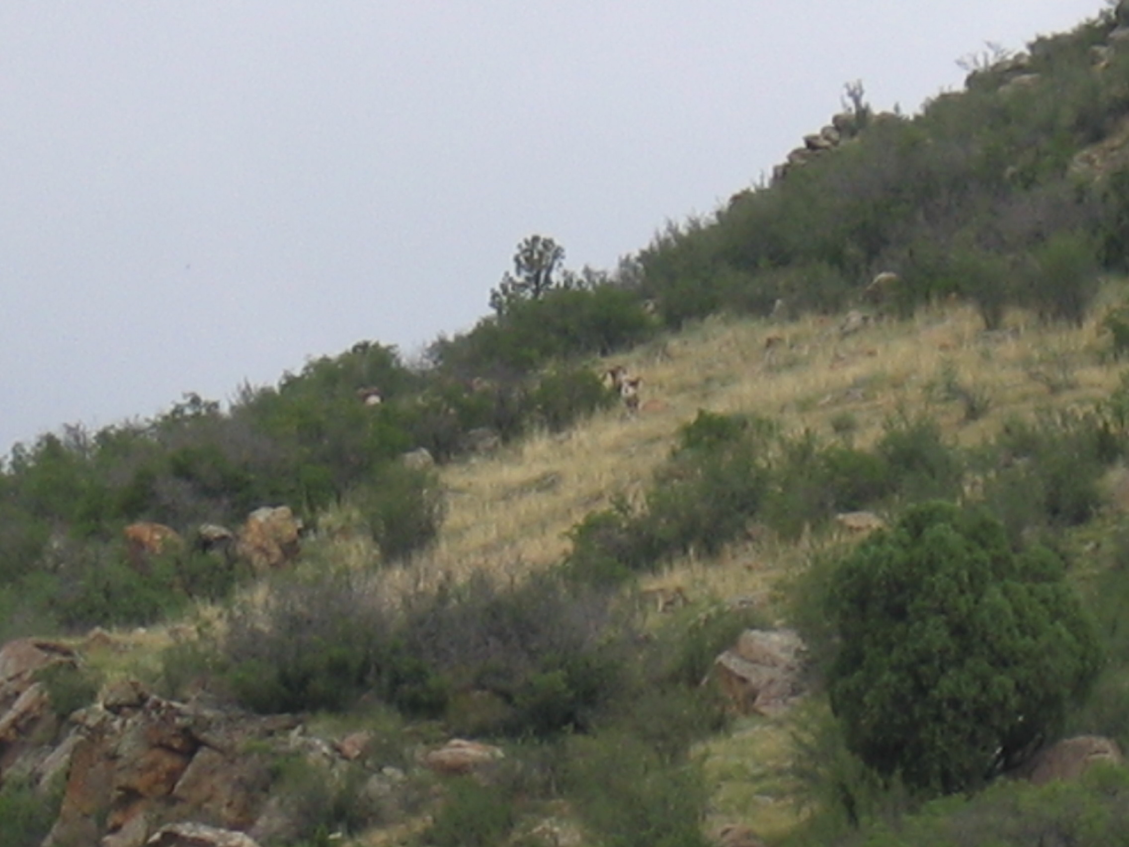 IMG_0577.JPG