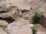 MVI_0647.THM.jpg