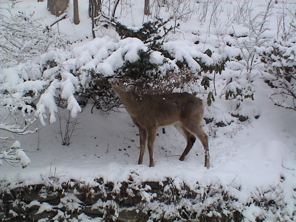 DSC00614.JPG