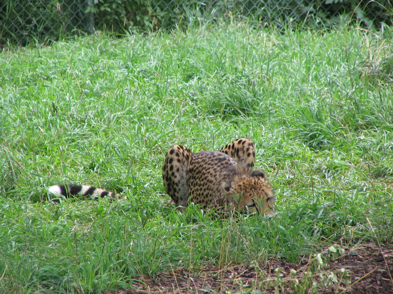 IMG_1987.JPG