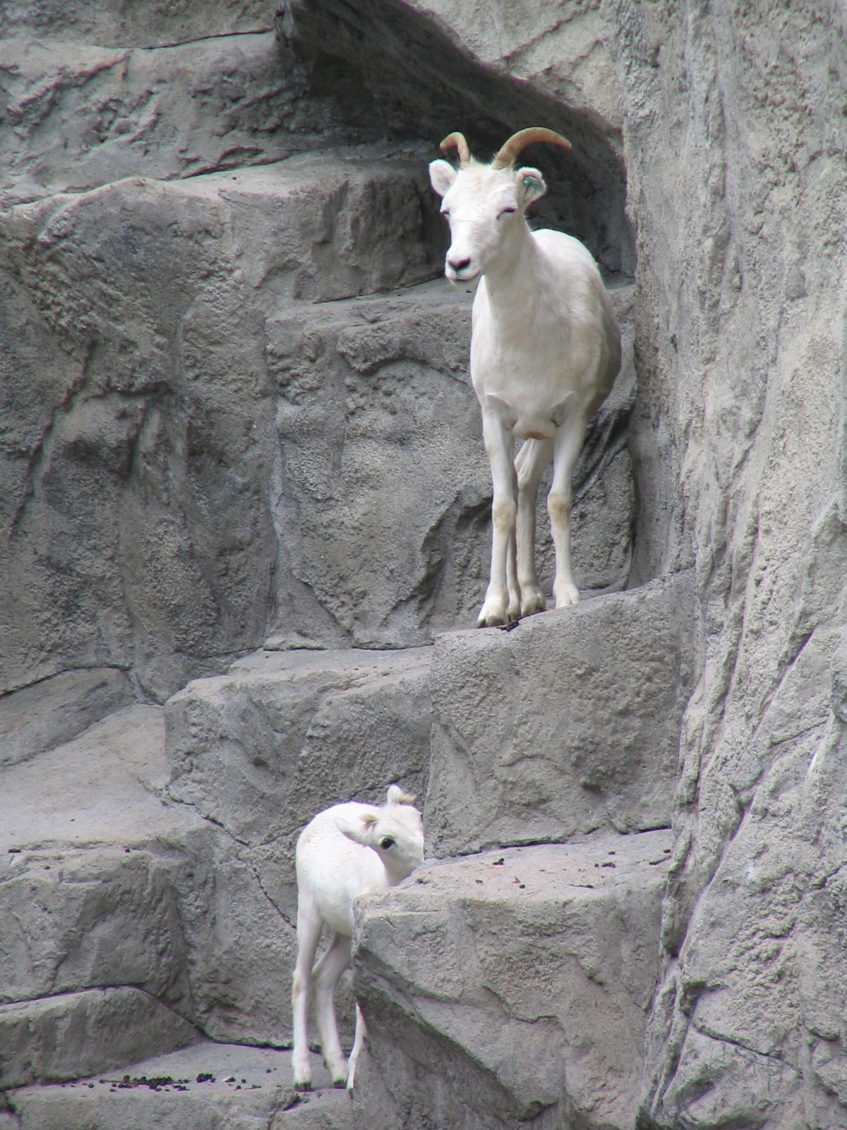 IMG_1996.JPG