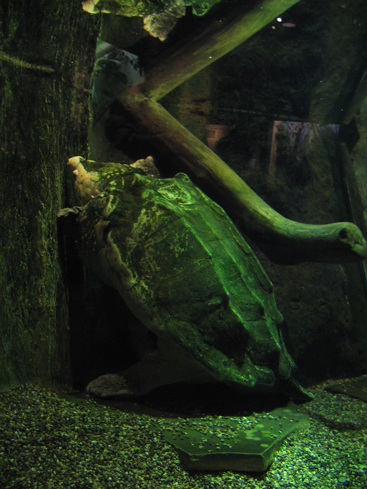 IMG_2112.JPG