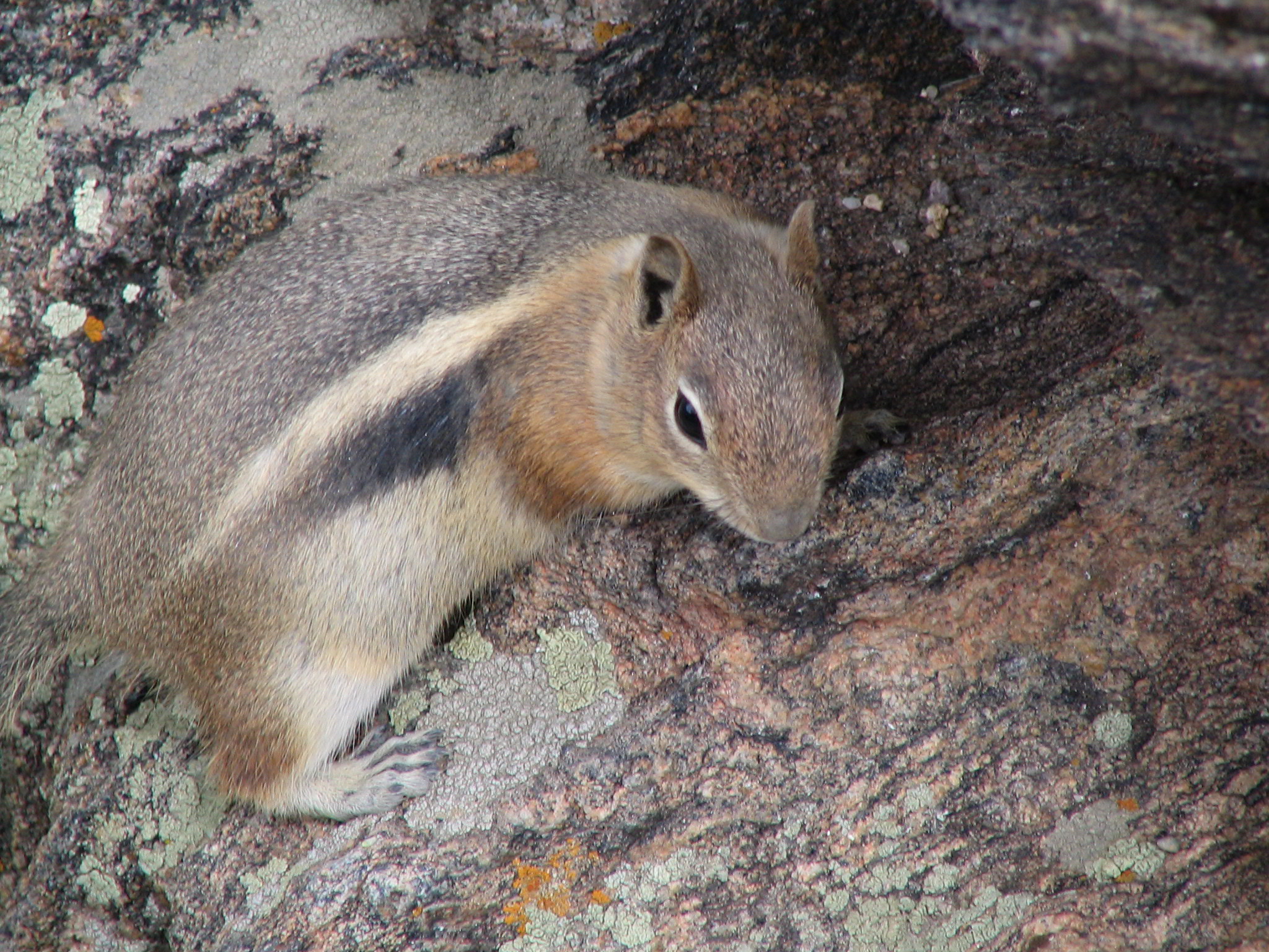 IMG_2284.JPG