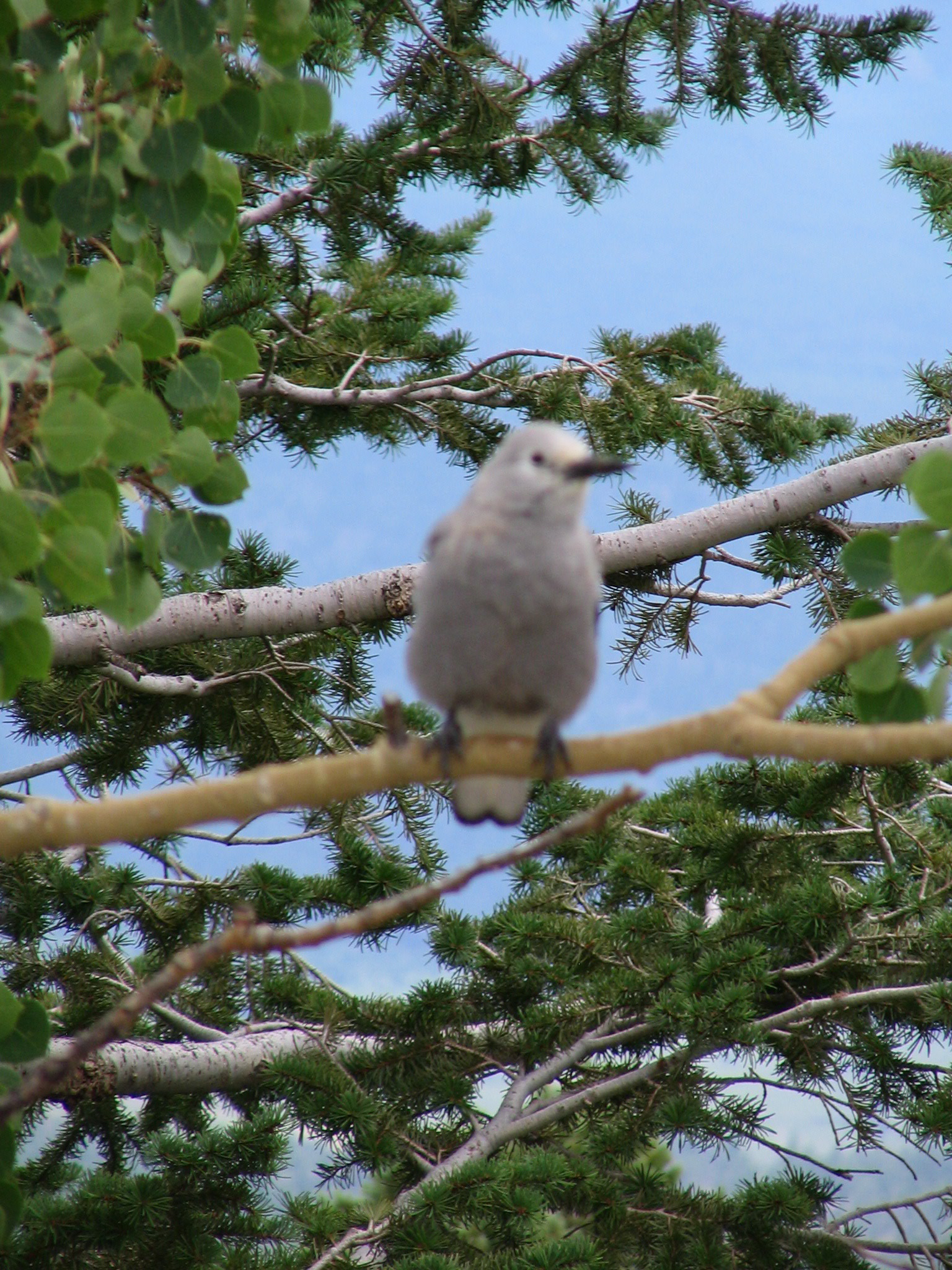IMG_2300.JPG