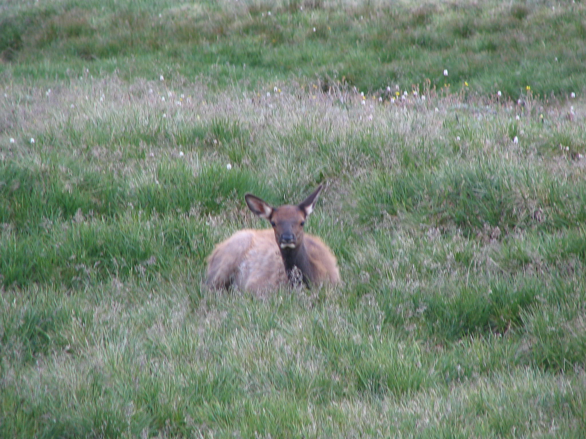 IMG_2421.JPG