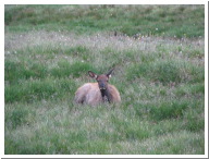 IMG_2421.JPG