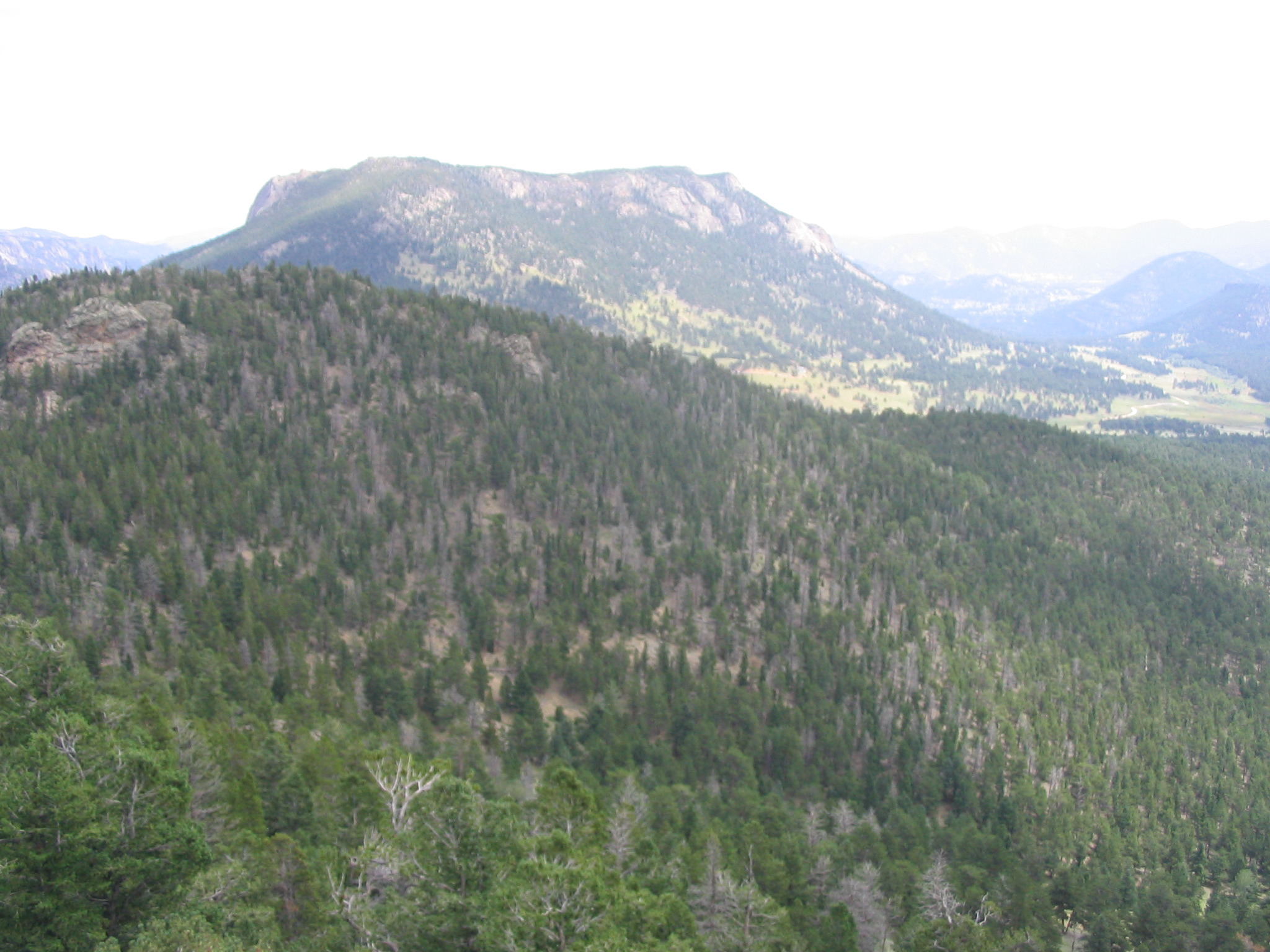 IMG_0715.JPG