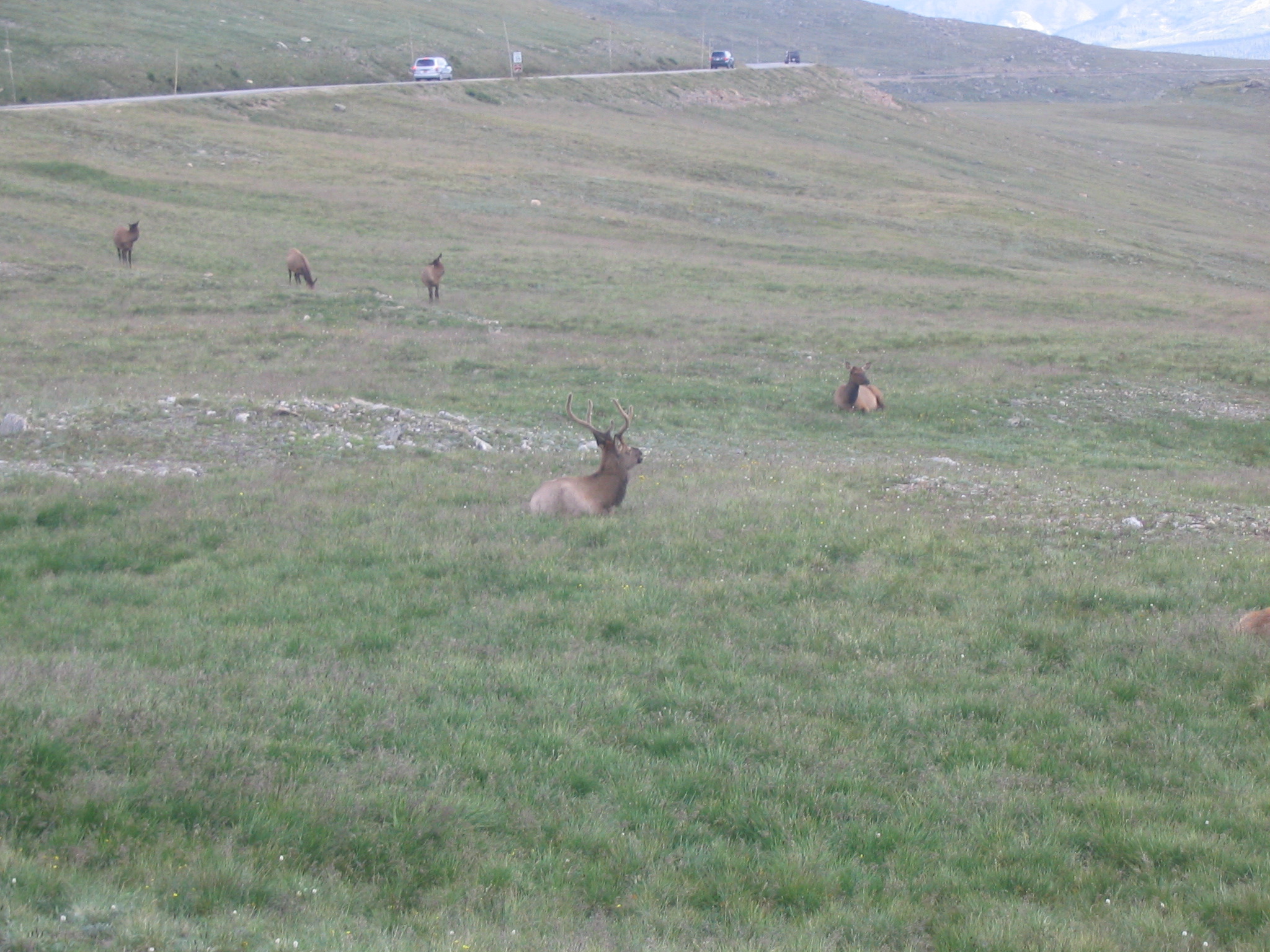 IMG_1032.JPG