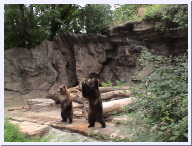 DSC00717.JPG