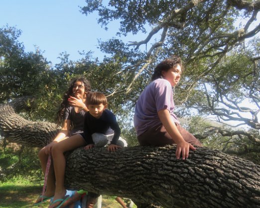 Big Tree at Goat Island SP and Matagorda County Birding Center On our way home we stopped to see the >1000 year old Live Oak Tree at Goat Island State Park, and walk around the...