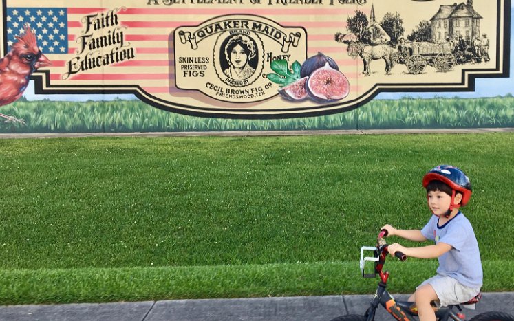 Bicycling Megan upgraded to Julie's old mountain bike, and Phelan graduated from Balance Bike to Megan's old Bike. And we've been...