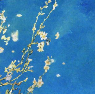 IMG_5072 Almond Blossom