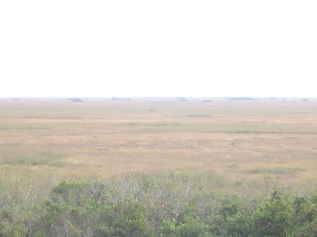 STZ_8808