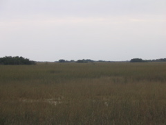 IMG_8765