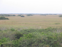 STJ_8792