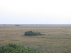 STA_8809