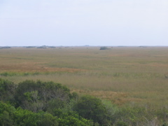 STF_8814
