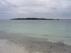 IMG_8691